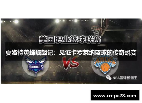 夏洛特黄蜂崛起记：见证卡罗莱纳篮球的传奇蜕变