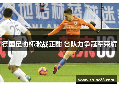 德国足协杯激战正酣 各队力争冠军荣耀